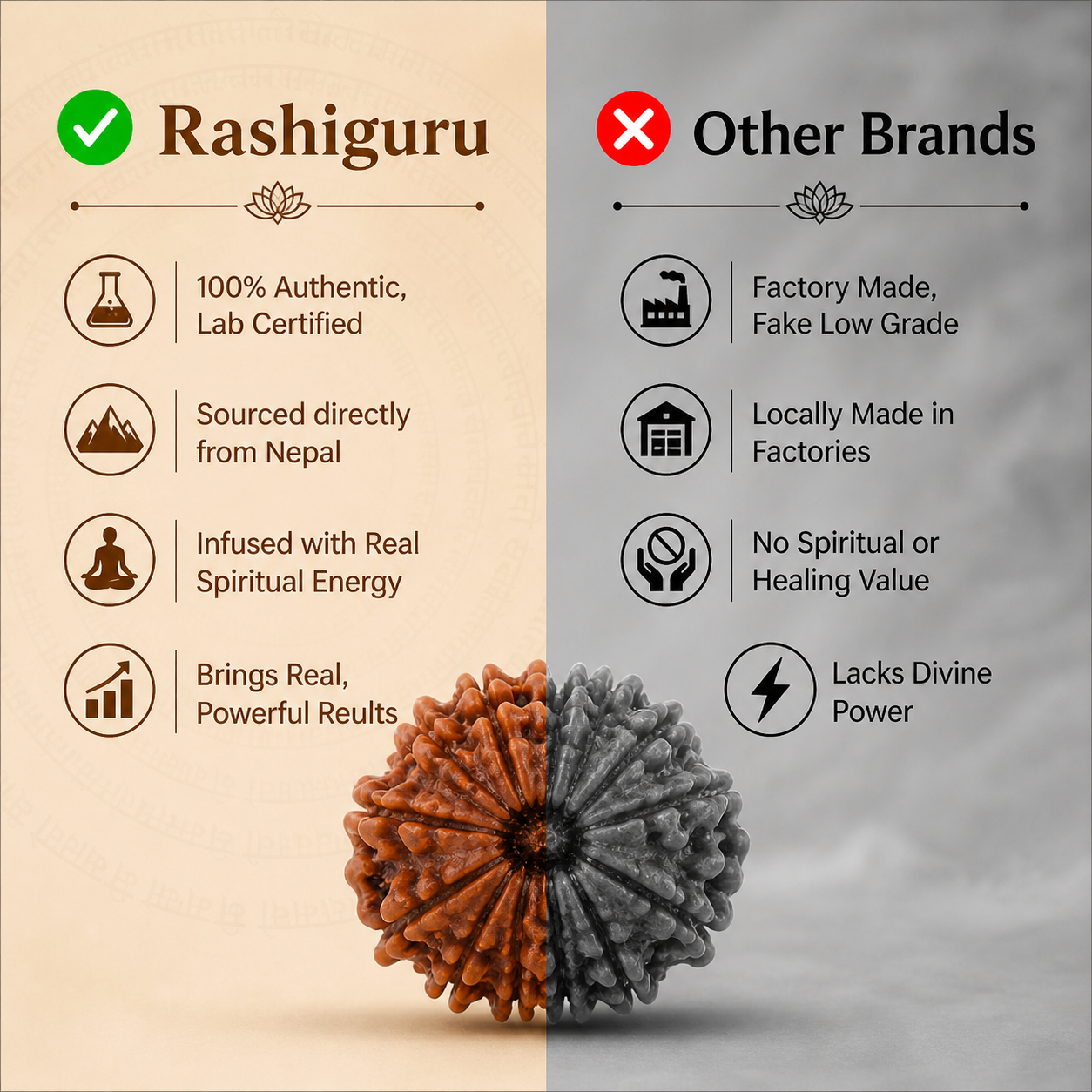 2 Mukhi Rudraksh