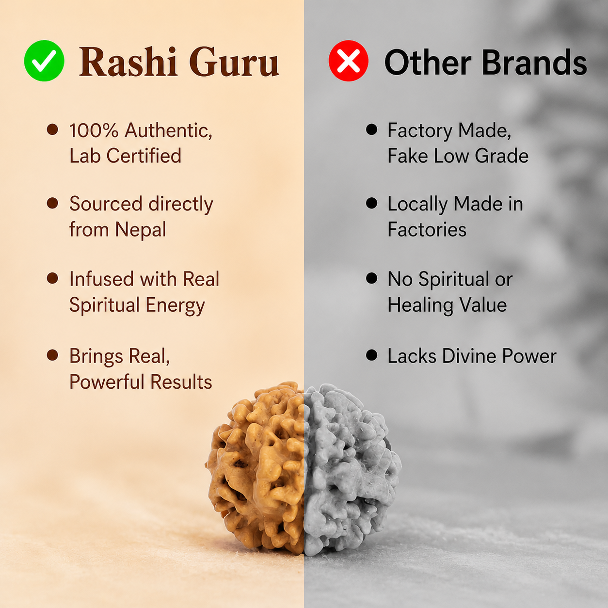 Rare Siddh 1 Mukhi Rudraksha