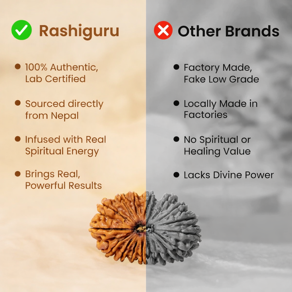 A rare Siddh 17 Mukhi Rudraksha bead from Nepal, signifying Lord Vishwakarma. The image showcases a large, high-grade mahogany-colored seed with 17 distinct, natural lines running symmetrically from the top to the bottom, representing divine craftsmanship and creative power.