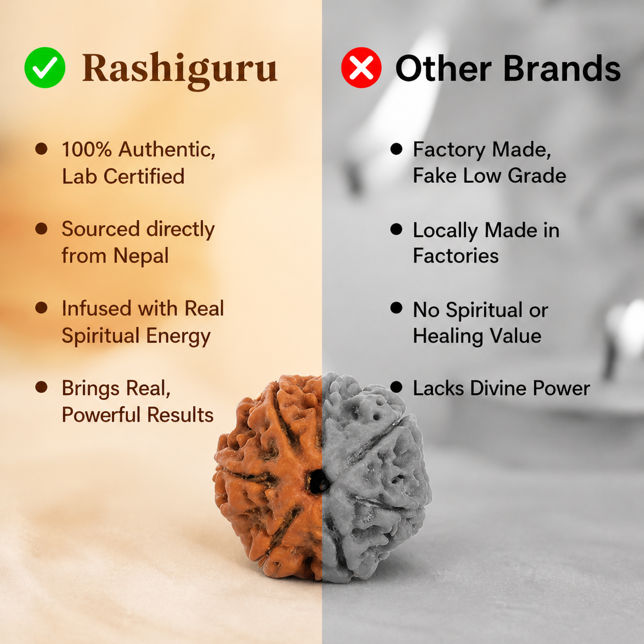 Siddh 5 Mukhi Rudraksha