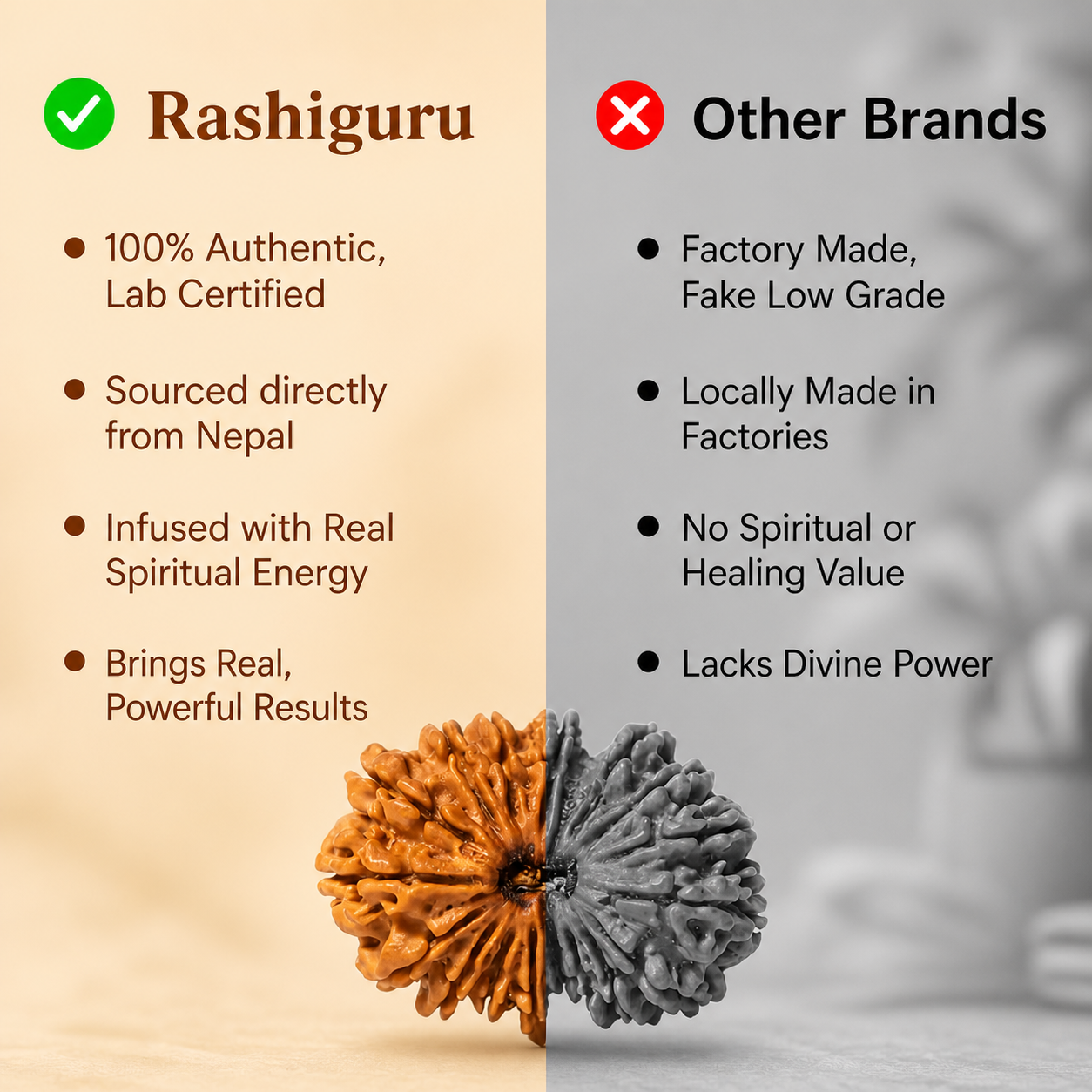 Siddh 17 Mukhi Rudraksha