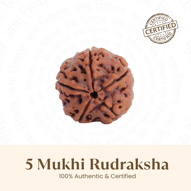 Rudraksha Collection