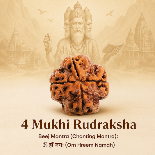 4 Mukhi Rudraksh