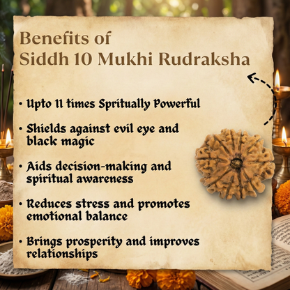 10 Mukhi Rudraksh