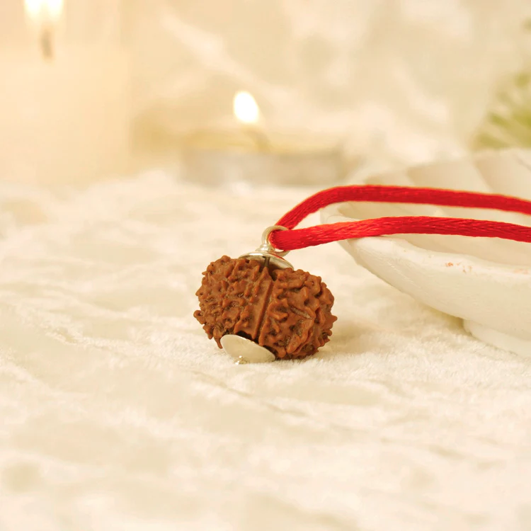12 Mukhi Rudraksh