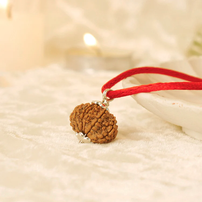 Siddh 13 Mukhi Rudraksha