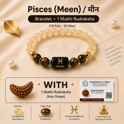 Pisces (मीन राशि) Zodiac Citrine & Tiger Eye Bracelet with 1 Mukhi Rudraksha