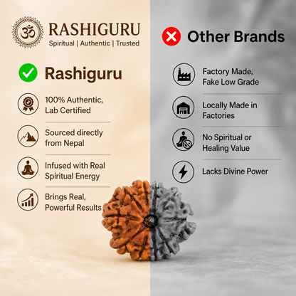 10 Mukhi Rudraksh