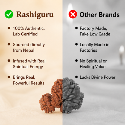 Siddh Garbh Gauri Rudraksha