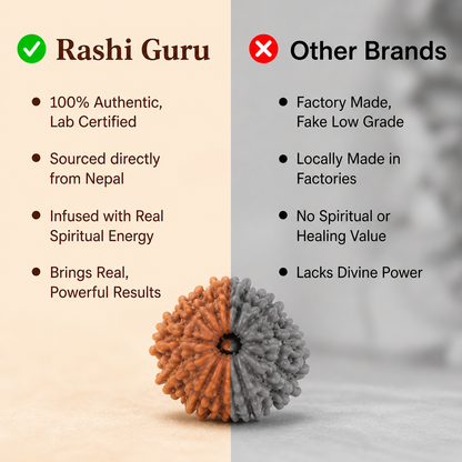 12 Mukhi Rudraksh