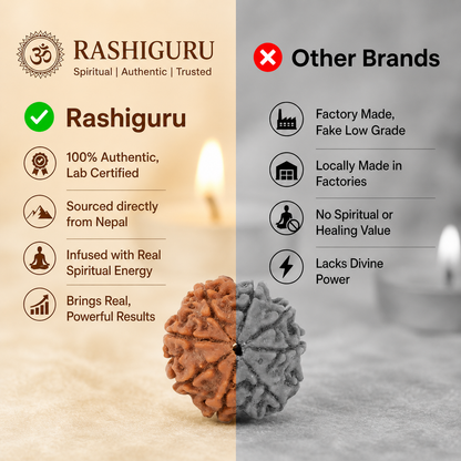 8 Mukhi Rudraksh
