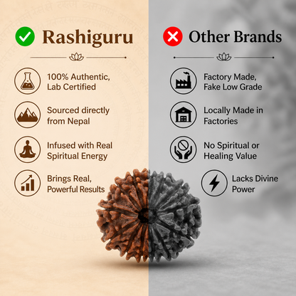Siddh 14 Mukhi Rudraksha