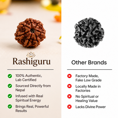 7 Mukhi Rudraksh
