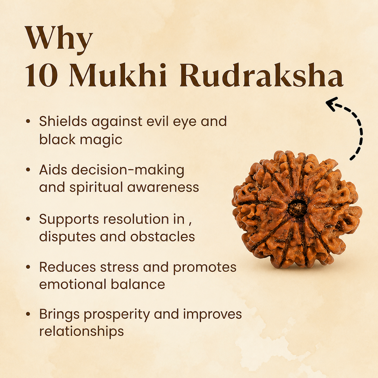10 Mukhi Rudraksh