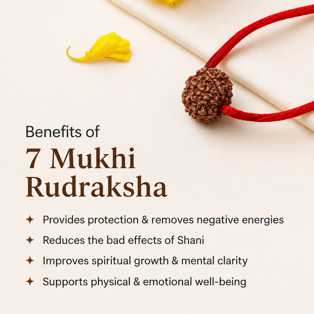 7 Mukhi Rudraksh