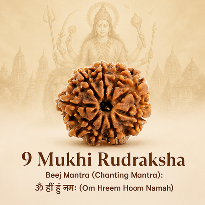 9 Mukhi Rudraksh