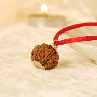 6 Mukhi Rudraksh