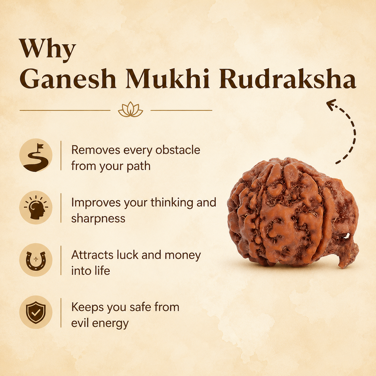 Siddh Ganesh Mukhi Rudraksha