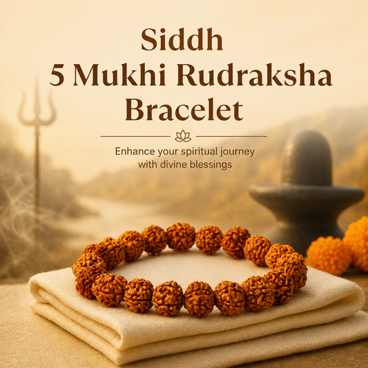 5 Mukhi Rudraksha Bracelet