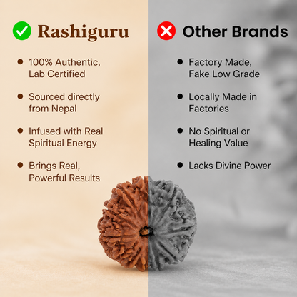 11 Mukhi Rudraksh