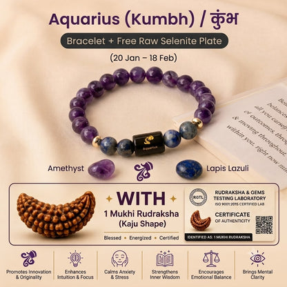Aquarius (कुंभ राशि) Zodiac Amethyst & Lapis Lazuli Bracelet with 1 Mukhi Rudraksha