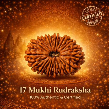 A rare Siddh 17 Mukhi Rudraksha bead from Nepal, signifying Lord Vishwakarma. The image showcases a large, high-grade mahogany-colored seed with 17 distinct, natural lines running symmetrically from the top to the bottom, representing divine craftsmanship and creative power.