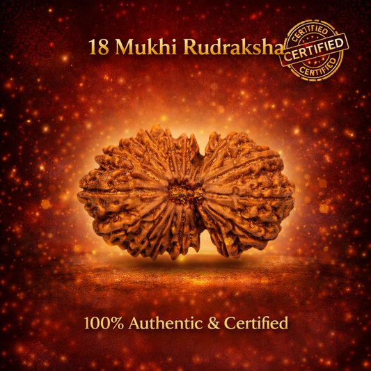 A rare Siddh 18 Mukhi Rudraksha bead from Nepal, representing Mother Earth (Bhumi Devi). The image displays a large, robust brown seed with 18 clear, natural grooves running vertically across its surface, symbolizing stability and abundance.