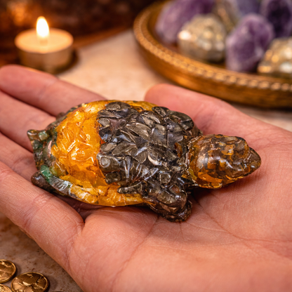 Dhanyog Tortoise (kacchua)