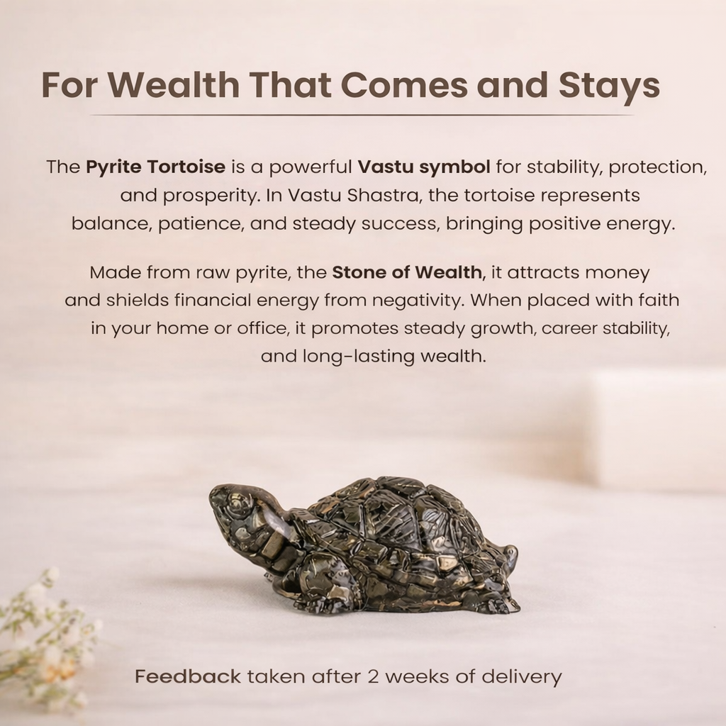 Pyrite Owl & Vastu Kachhua Combo – Wealth, Wisdom & Positive Energy