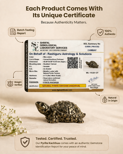 Vastu Pyrite Tortoise (Kachhua)