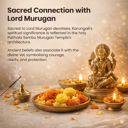 A spiritual combo set featuring a Karungali Malai and a matching bracelet, both made from 8mm genuine black ebony wood beads. The set is displayed alongside its official Government Laboratory Certificate, verifying the authenticity of the wood. The beads have a smooth, natural matte finish and are strung on a durable cord.