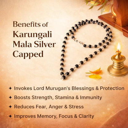 A premium Karungali Mala featuring 108 authentic black ebony wood beads, each meticulously capped with polished pure silver. The dark, matte texture of the wood contrasts beautifully with the gleaming silver caps, finished with a silver-capped Guru bead and a traditional black tassel.