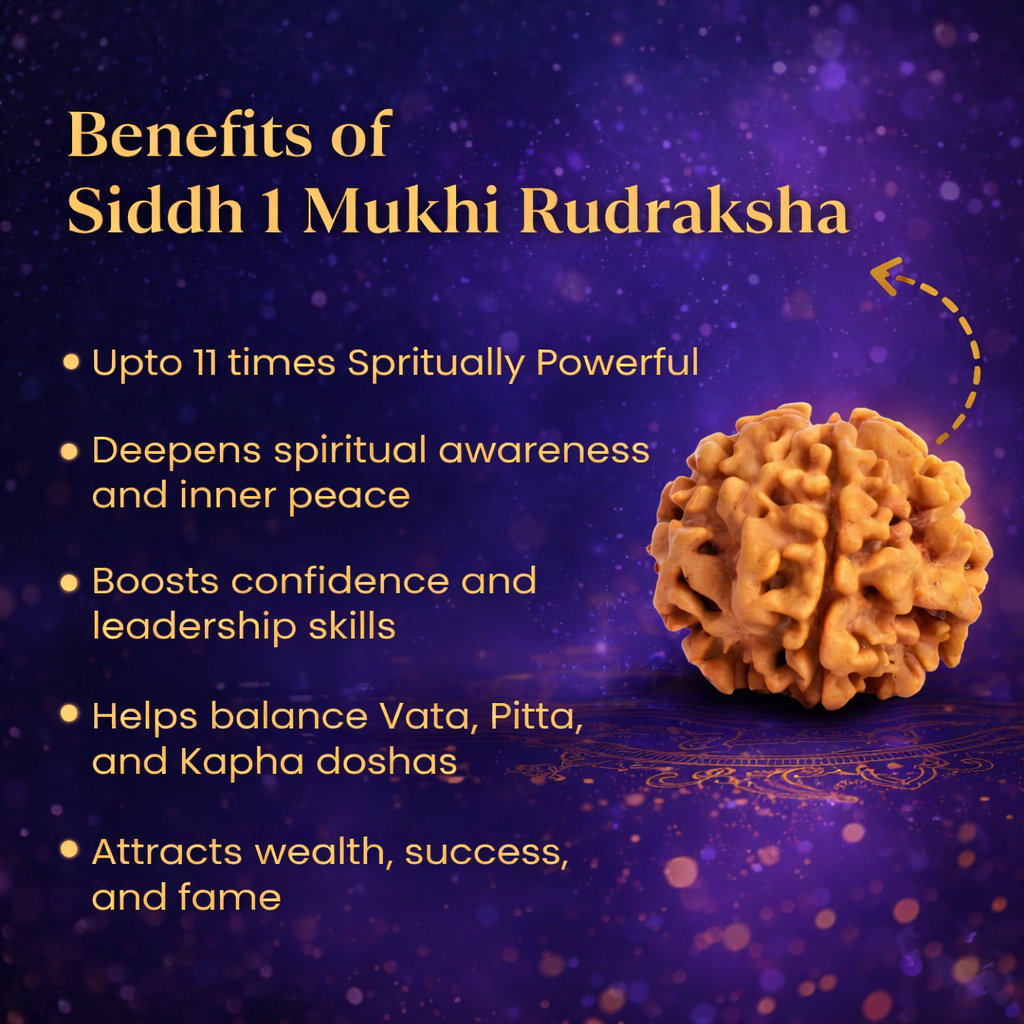 An exceptionally rare Siddh 1 Mukhi Rudraksha bead, featuring a single, unbroken natural line running from the top to the bottom of the seed. The bead has a rich mahogany color and a dense, robust texture, symbolizing the singular consciousness of Lord Shiva and the power of the Sun.