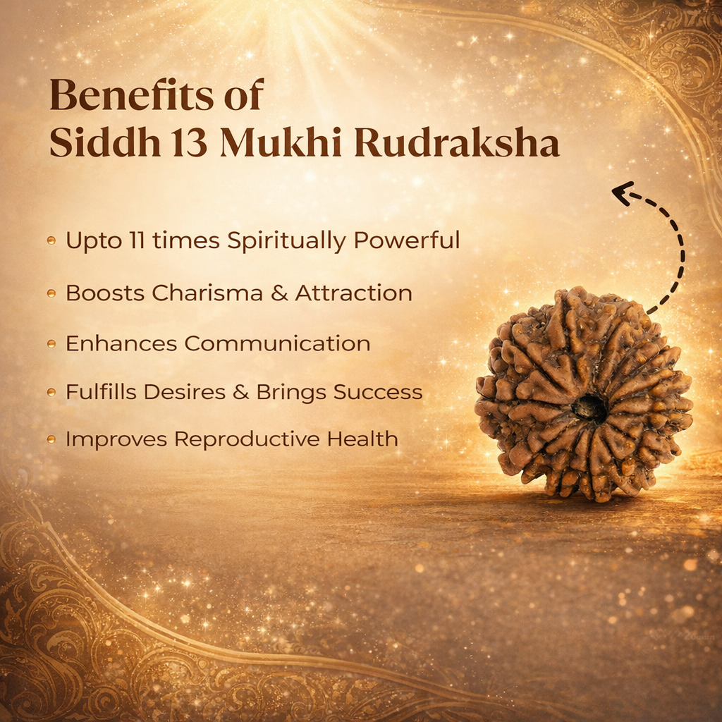 A rare Siddh 13 Mukhi Rudraksha bead from Nepal, associated with Lord Kamadeva and Lord Indra. The image displays a large, high-grade mahogany seed with 13 distinct, natural lines running vertically from top to bottom, symbolizing charm, charisma, and worldly success.