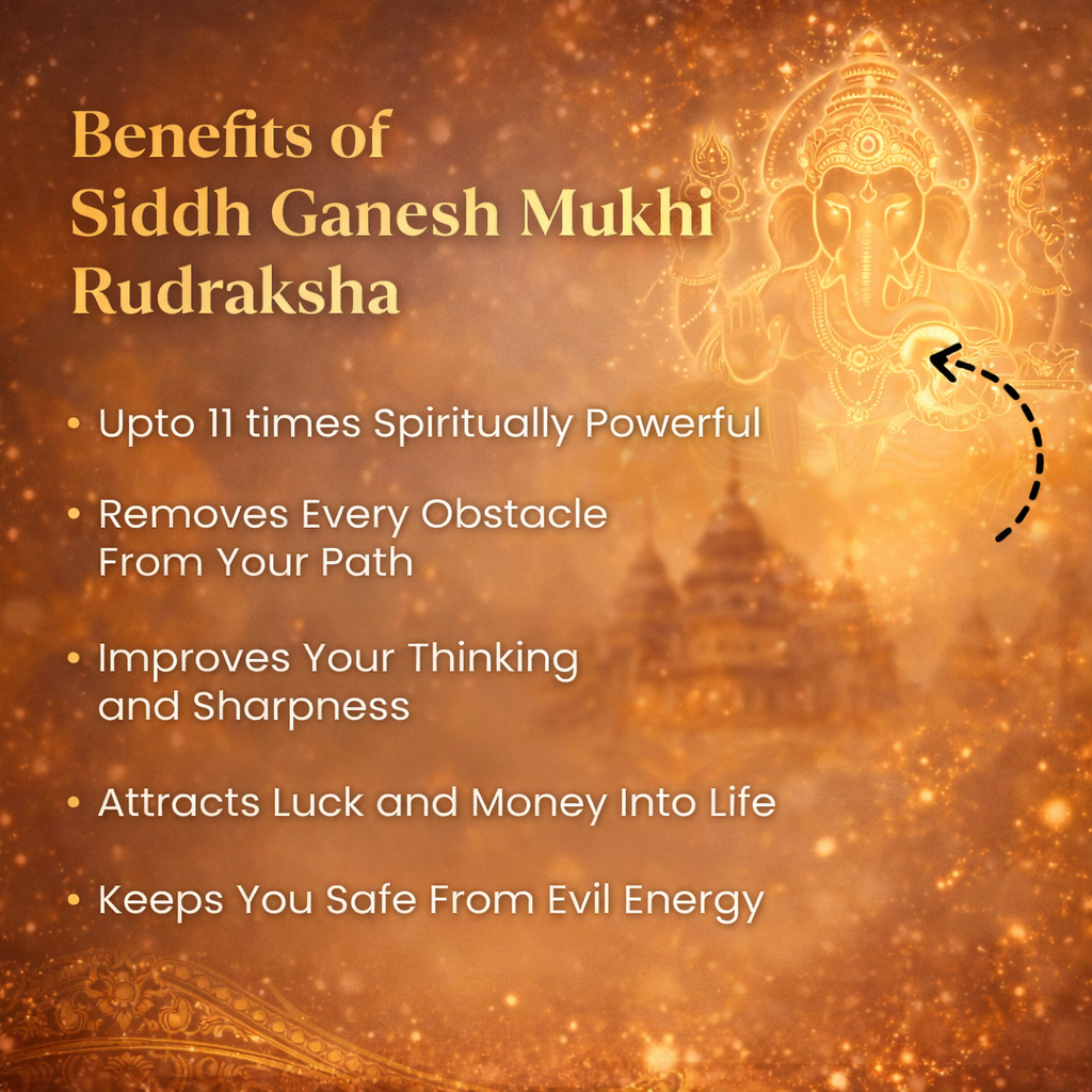 A rare Siddh Ganesh Mukhi Rudraksha from Nepal, featuring a prominent natural protrusion resembling the trunk of an elephant. The mahogany-colored bead has deep vertical grooves and a rugged texture, symbolizing the presence of Lord Ganesha as the remover of obstacles.