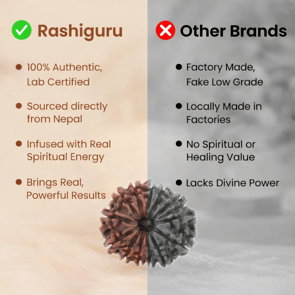 A rare Siddh 14 Mukhi Rudraksha bead from Nepal, known as the Dev Mani. The image shows a large, high-grade mahogany-colored seed with 14 distinct, deep natural grooves running from top to bottom. Its surface is exceptionally robust and well-defined, symbolizing the protective power of Lord Hanuman.