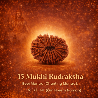 A rare Siddh 15 Mukhi Rudraksha bead from Nepal, symbolizing Lord Pashupatinath. The image displays a large, well-formed brown seed with 15 distinct natural lines radiating from the top to the bottom. Its surface is dense and richly textured, representing emotional healing and economic success.
