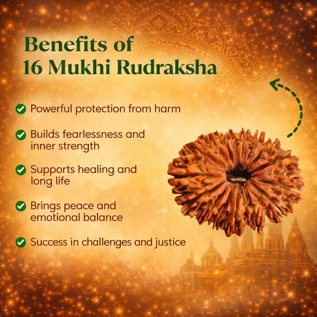 A rare Siddh 16 Mukhi Rudraksha bead from Nepal, known as the Jai Rudraksha. The image shows a large, high-grade brown seed with 16 distinct, natural lines running from the top to the bottom. Its surface is rugged and well-defined, symbolizing victory and protection against negative energies.