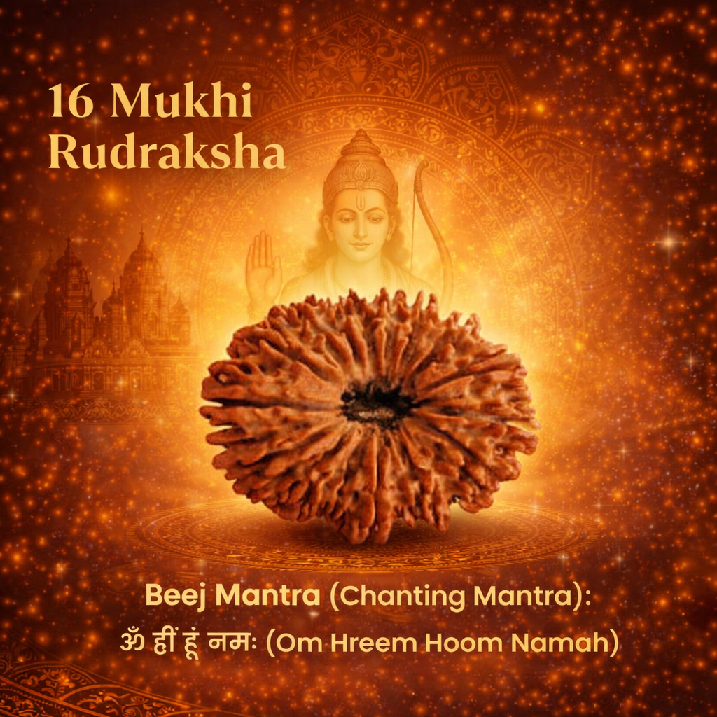 A rare Siddh 16 Mukhi Rudraksha bead from Nepal, known as the Jai Rudraksha. The image shows a large, high-grade brown seed with 16 distinct, natural lines running from the top to the bottom. Its surface is rugged and well-defined, symbolizing victory and protection against negative energies.