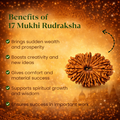 A rare Siddh 17 Mukhi Rudraksha bead from Nepal, signifying Lord Vishwakarma. The image showcases a large, high-grade mahogany-colored seed with 17 distinct, natural lines running symmetrically from the top to the bottom, representing divine craftsmanship and creative power.