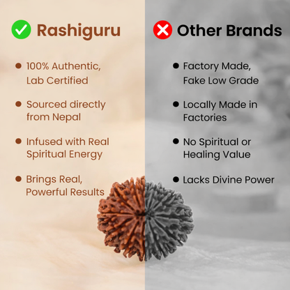 A rare Siddh 15 Mukhi Rudraksha bead from Nepal, symbolizing Lord Pashupatinath. The image displays a large, well-formed brown seed with 15 distinct natural lines radiating from the top to the bottom. Its surface is dense and richly textured, representing emotional healing and economic success.