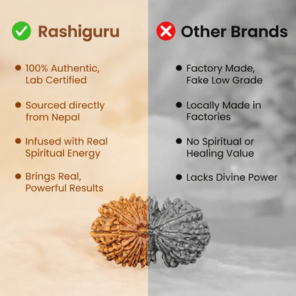 A rare Siddh 18 Mukhi Rudraksha bead from Nepal, representing Mother Earth (Bhumi Devi). The image displays a large, robust brown seed with 18 clear, natural grooves running vertically across its surface, symbolizing stability and abundance.