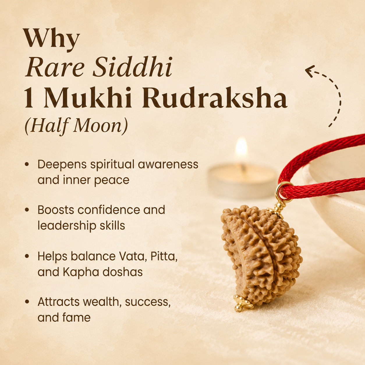 Rare Siddhi 1 Mukhi Rudraksha (Half Moon)