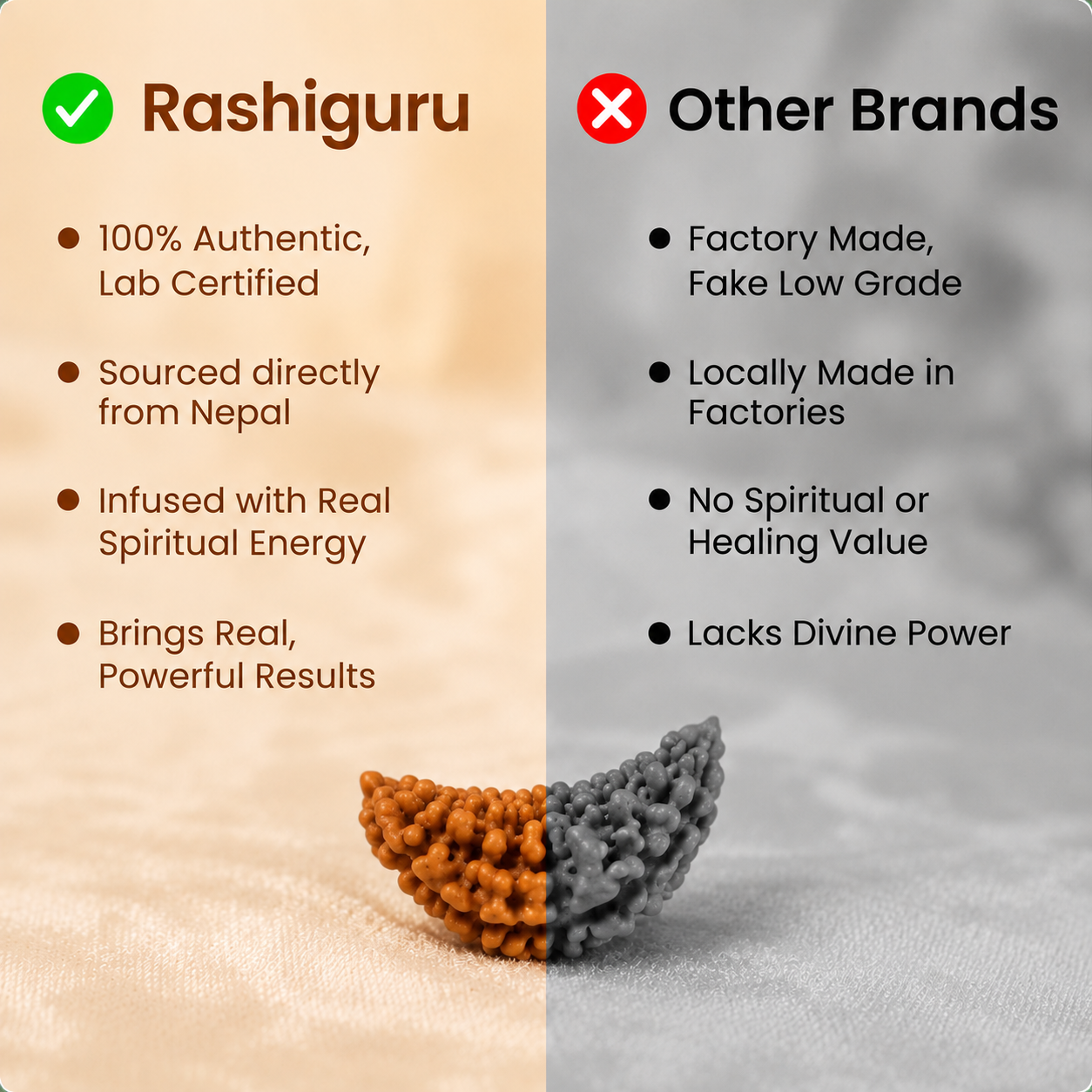 Rare Siddhi 1 Mukhi Rudraksha (Half Moon)