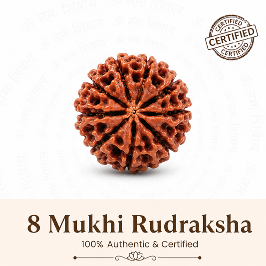 8 Mukhi Rudraksh