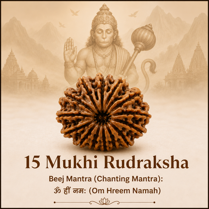 Siddh 15 Mukhi Rudraksha