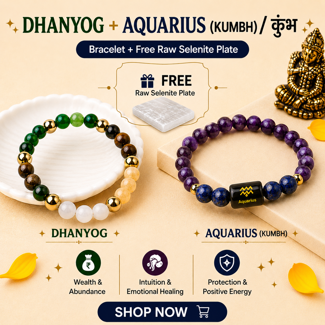 Aquarius (कुंभ राशि) Zodiac & DhanYog Bracelet