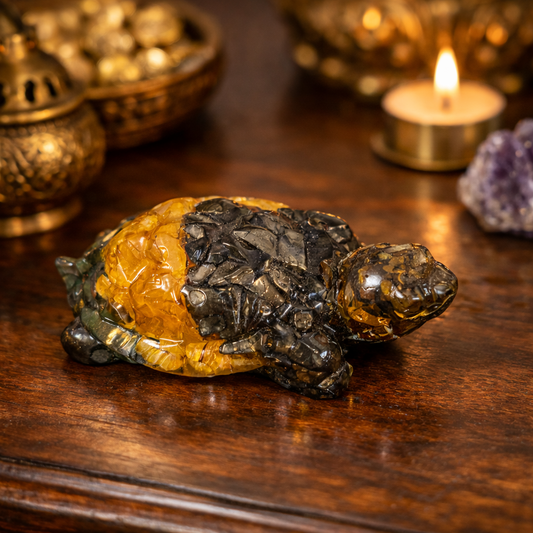 Dhanyog Tortoise (kacchua)