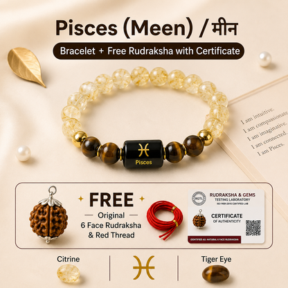 Pisces (मीन राशि) Zodiac Citrine & Tiger Eye Bracelet with Free Rudraksha
