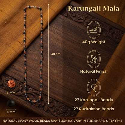 Original Divya Raksha Mala featuring natural Rudraksha and black Karungali beads with premium silver capping for protection.
